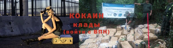 шишки Дмитриев