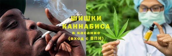 шишки Дмитриев