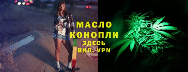 шишки Дмитриев