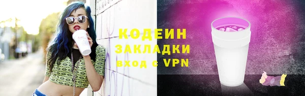 шишки Дмитриев