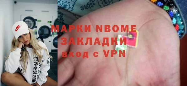 шишки Дмитриев
