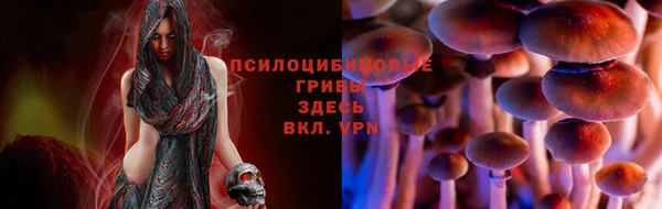 наркотики Дмитров