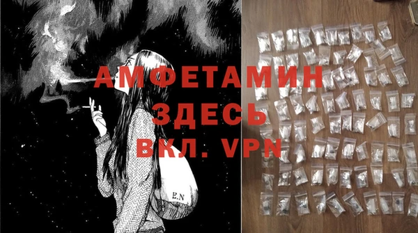 шишки Дмитриев