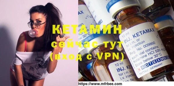 шишки Дмитриев