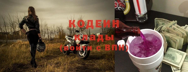 шишки Дмитриев