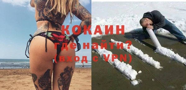 шишки Дмитриев