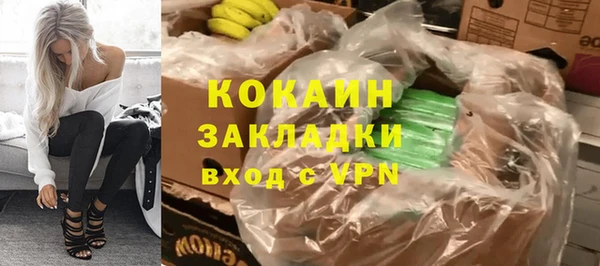 шишки Дмитриев