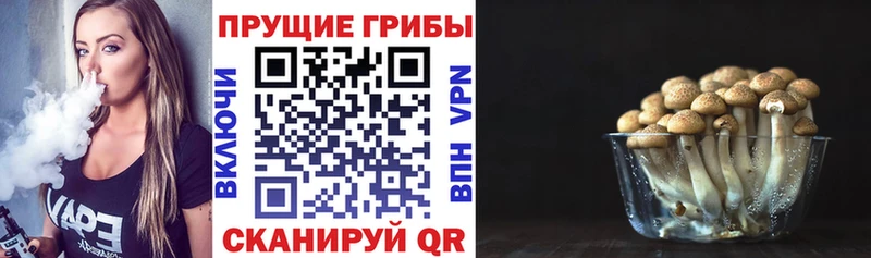Галлюциногенные грибы мухоморы  Зея 
